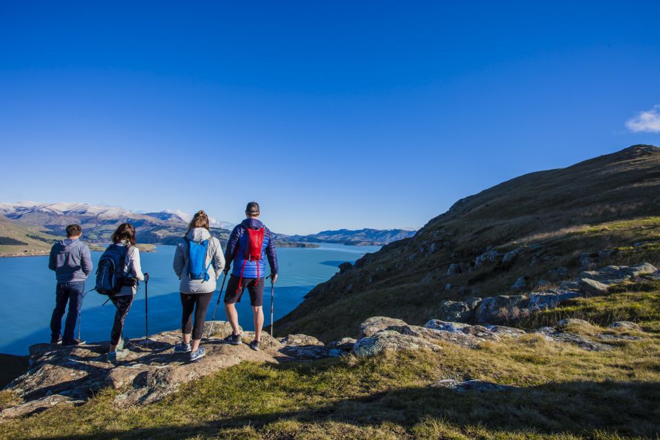 Christchurch: Guided Crater Rim Walk With Picnic - Testimonials