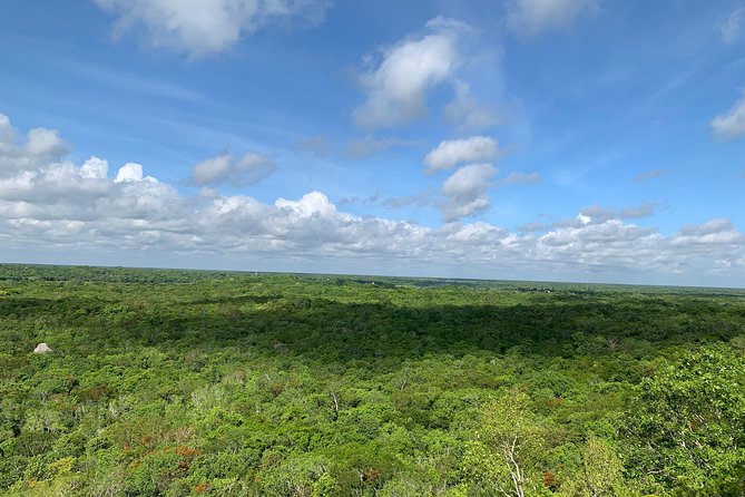 Coba Ruins and Punta Laguna Monkey Reserve Day Tour From Tulum - Last Words
