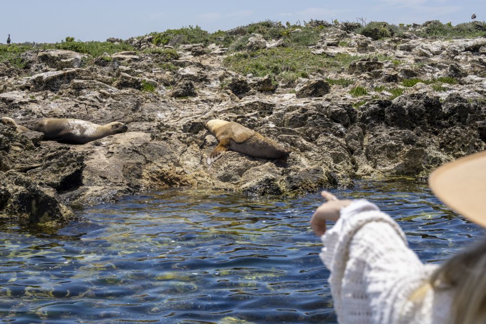 Coffin Bay: Oyster Farm Boat Tour With Wading & 12 Oysters - Last Words