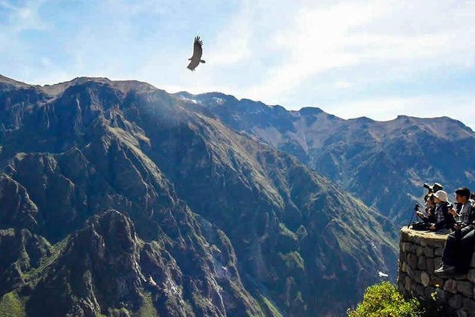 Colca Magic Destination - Last Words