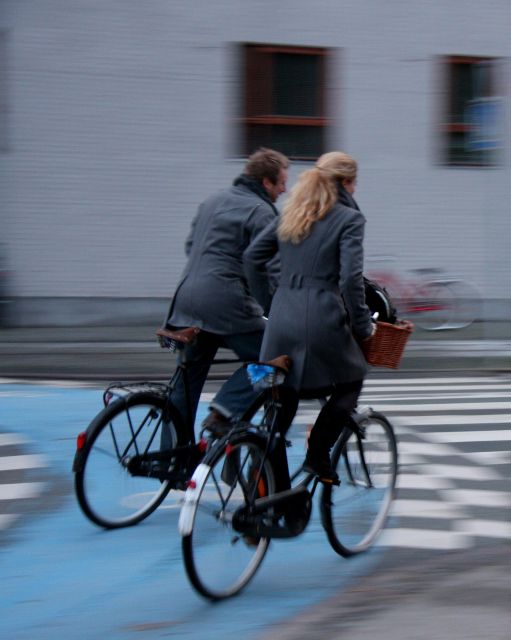 Copenhagen Private 3h Biking Tour - Live Tour Guide Availability