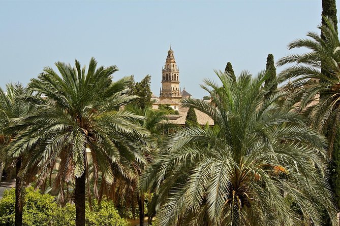 Cordoba Old Town Private Walking Tour - Last Words