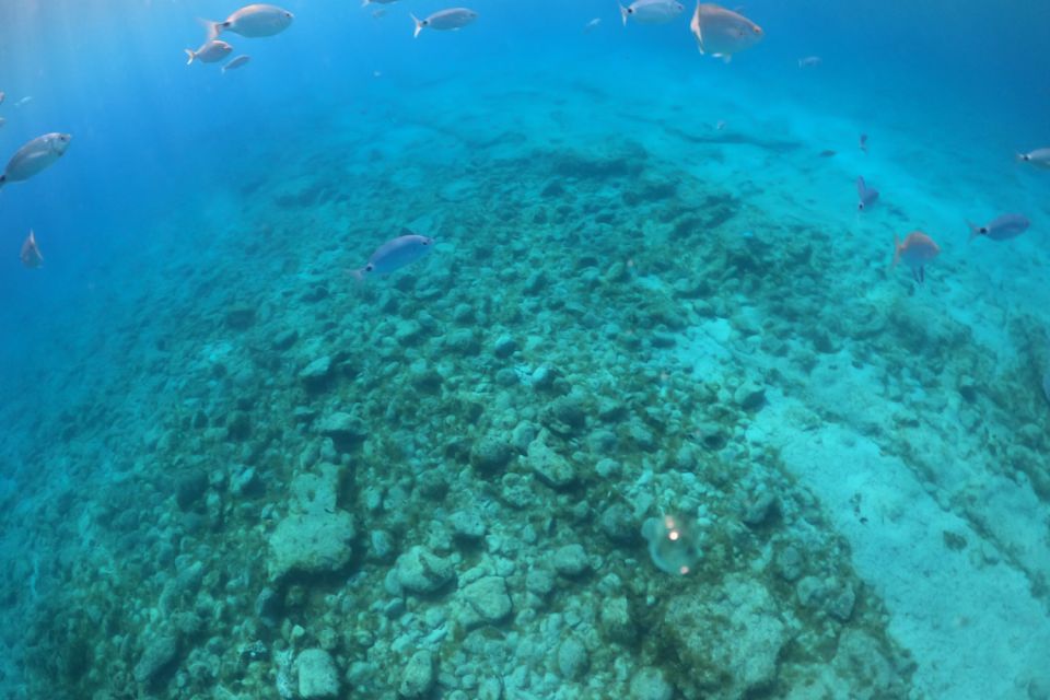 Corralejo: Lobos Island Boat and Snorkel Activity With Entry - Last Words