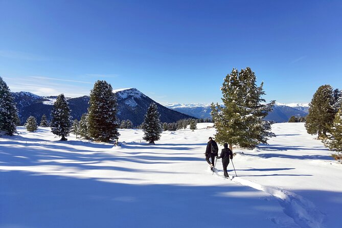 Cortina Dolomites: Winter Hiking & Sledding Experience - Customization and Private Booking Policy