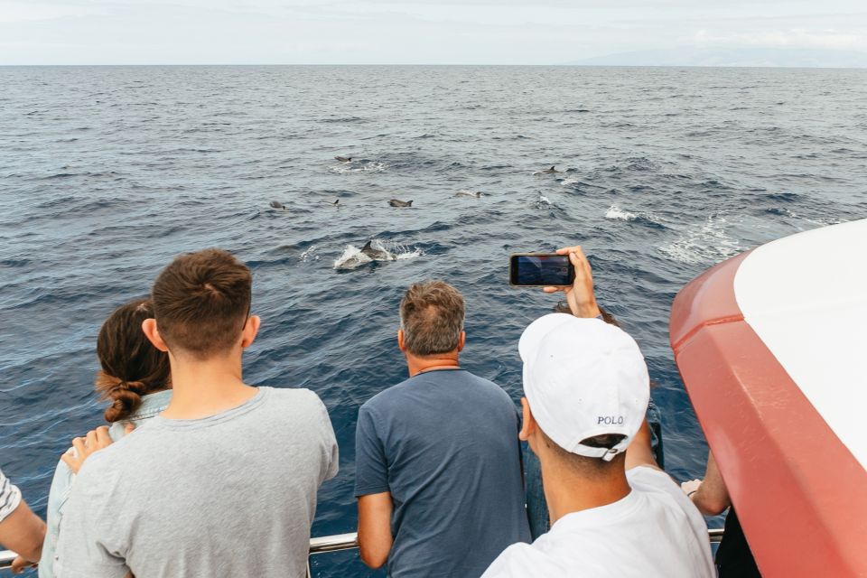 Costa Adeje: Whale & Dolphin Submarine Vision Mini Cruise - Common questions