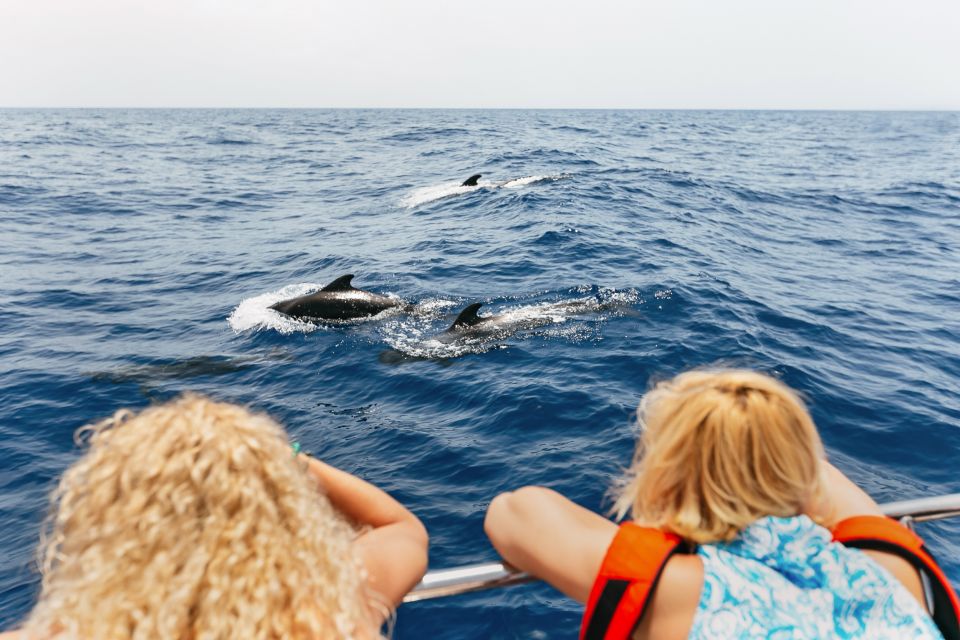 Costa Adeje: Whale Watching Catamaran Tour With Drinks - Inclusions and Amenities