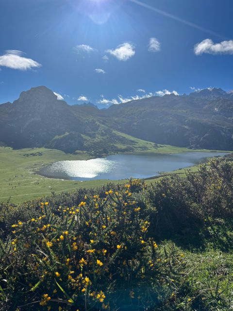 Covadonga and Lakes and Occidental Coast Private Tour - Last Words