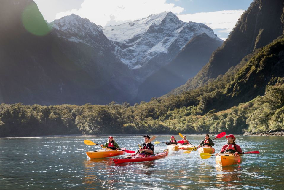 Cruise & Kayak Milford Sound - Travel Tips