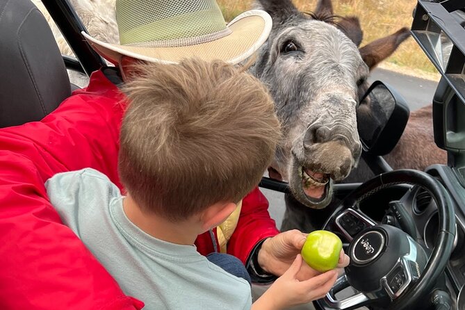 Custer State Park Private Jeep Safari  - Rapid City - Tour Guide and Experience Feedback