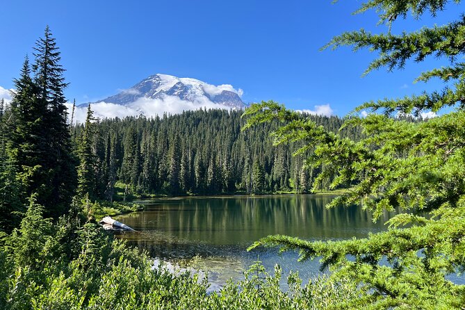 Customized Mount Rainier Tour From Seattle