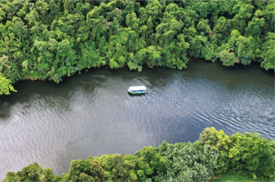 Daintree Rainforest: Crocodile & Wildlife River Cruises - Accessibility and Language