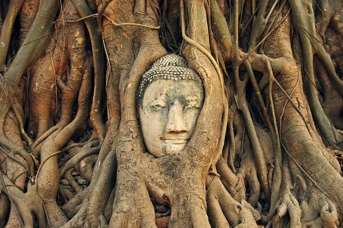 Damnoen Saduak Floating Market & Ayutthaya Full Day Tour From Bangkok - Copyright and Terms & Conditions