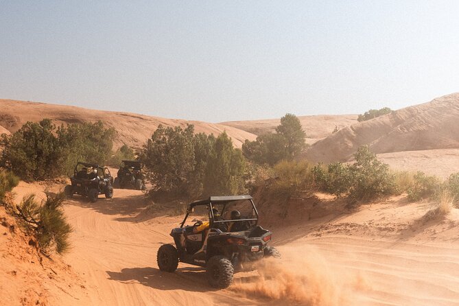 Desert Safari With Camel Ride, BBQ Dinner, Sand Board & Live Show - Last Words