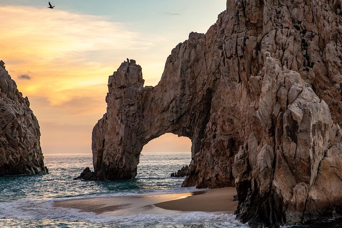 Dinner Cruise Tour in Cabo San Lucas With Tequila Tasting - Last Words