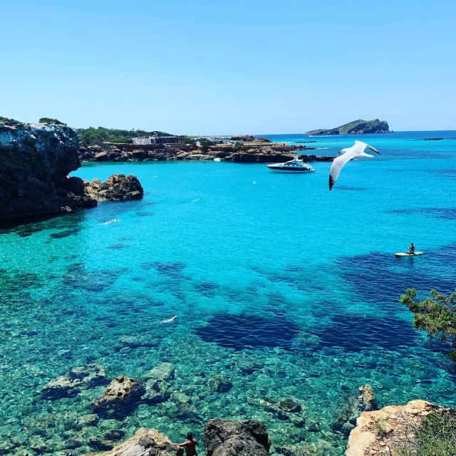 Discover the Ibiza Beaches on a Boat Without License 8H - South Route Experience