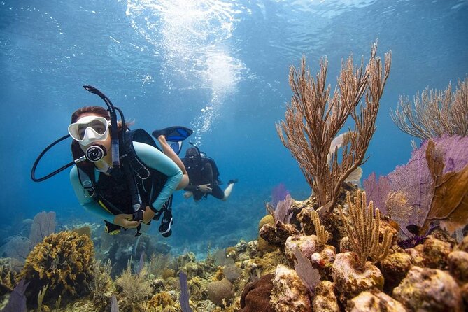 Diving And Snorkeling To Ras Mohamed And White Island By VIP Boat - Traveler Reviews
