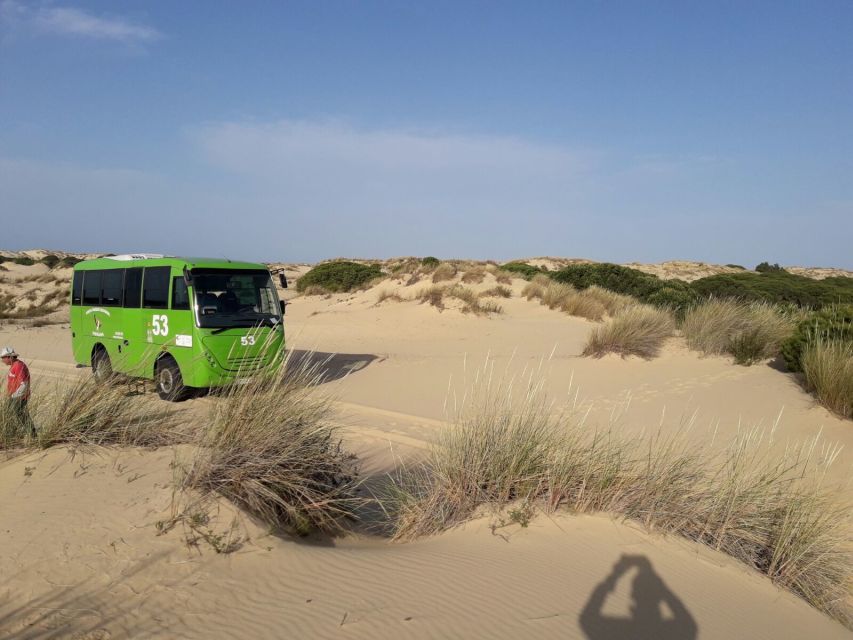 Doñana National Park Off-Road Tour From Seville - Directions and Booking Information