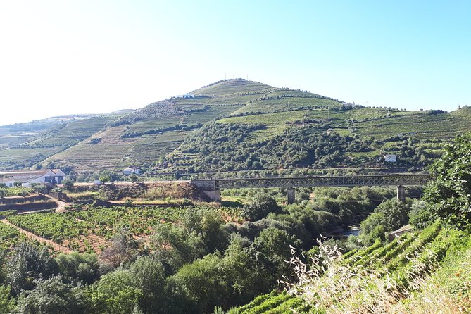 Douro Valley Tour (wine & Food) - Common questions