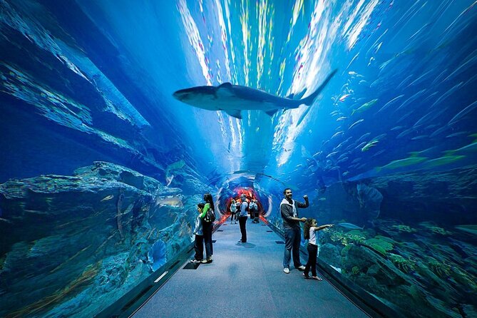 Dubai Aquarium and Underwater Zoo - Common questions