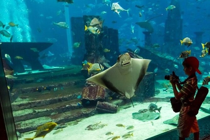 Dubai Aquarium and Underwater Zoo Admission Tickets.