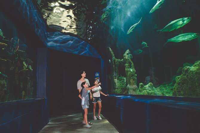Dubai Aquarium and Underwater Zoo Ticket - Meeting and Pickup Details