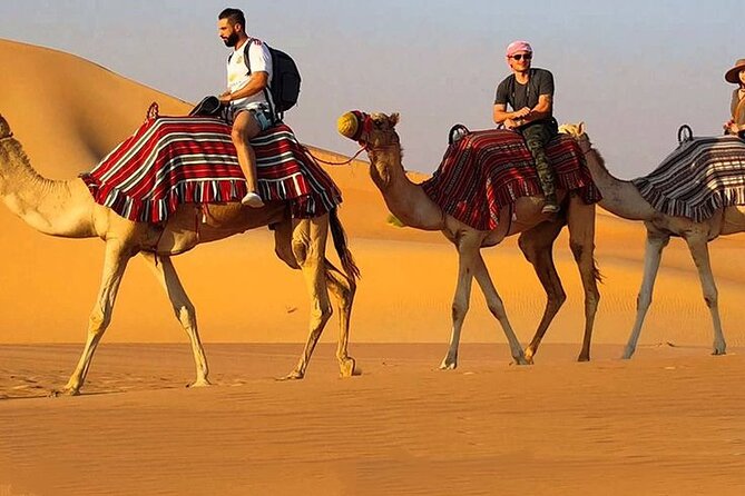 Dubai Desert Safari With Live Show, BBQ Dinner, Camel Ride & Sand Board Options - Last Words
