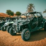 7 dubai private buggy ride with dinner and live shows Dubai Private Buggy Ride With Dinner and Live Shows