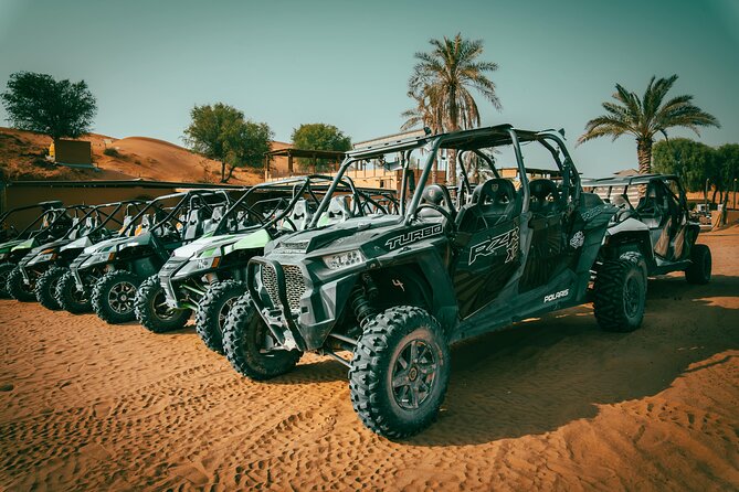 Dubai Private Buggy Ride With Dinner and Live Shows