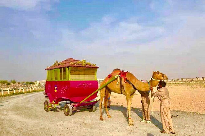 Dubai Royal Camel Race With Prime Seats & Short Camel Ride - Common questions