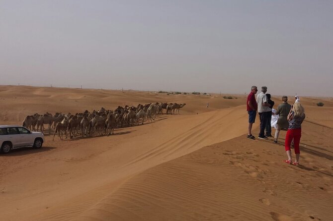 Dubai Sunrise Desert Safari - Common questions