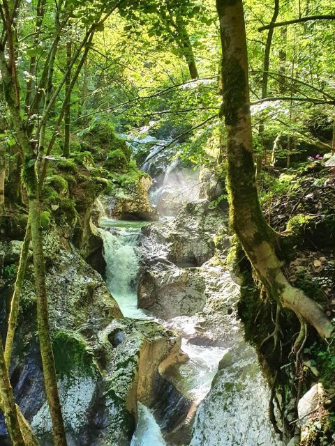 E-Bike Tour to the Great SočA Gorge & ŠUnik Water Grove - Booking Details