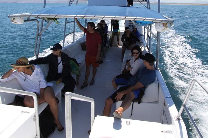 Espiritu Santo Island Snorkel & Sea Lion Adventure - Company Responses and Information