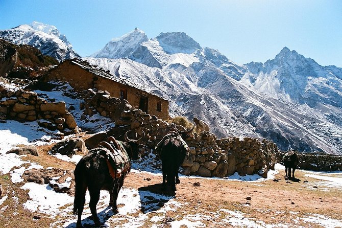 Everest Base Camp - Safety Precautions