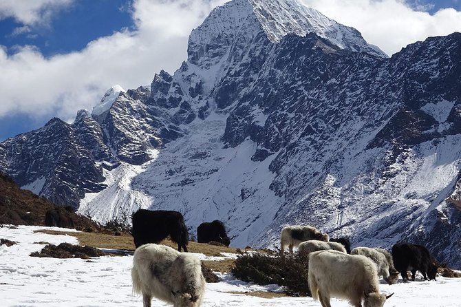 Everest Base Camp Heli Tour - Common questions