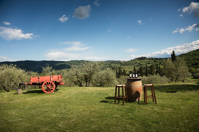 Exclusive Lunch Tour and Wine Tasting at a Chianti Classic Winery