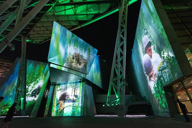 Expressions of America - Outdoor Sound & Light Show at The National WWII Museum - Tips for Enhancing Your Experience