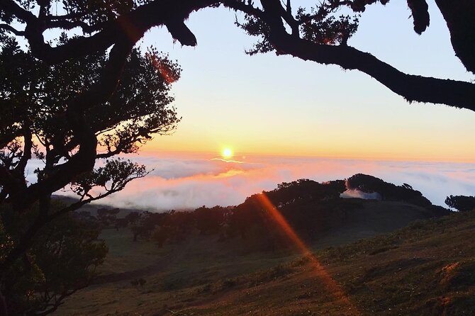 Fanal Private Sunset Hike - Last Words