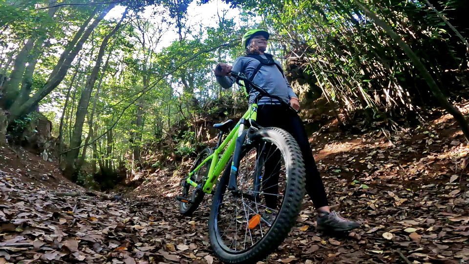 Firgas: Gran Canaria Forest Mountain Bike Tour - Small Group Limit