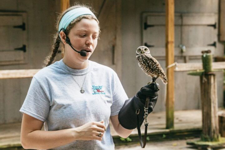 Fort Lauderdale: Flamingo Gardens Entry Ticket - Experience Highlights