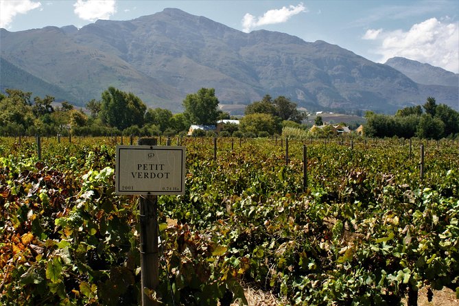 Franschhoek Half-Day Private Bike Tour With Lunch and Wine  - Cape Town - Additional Information