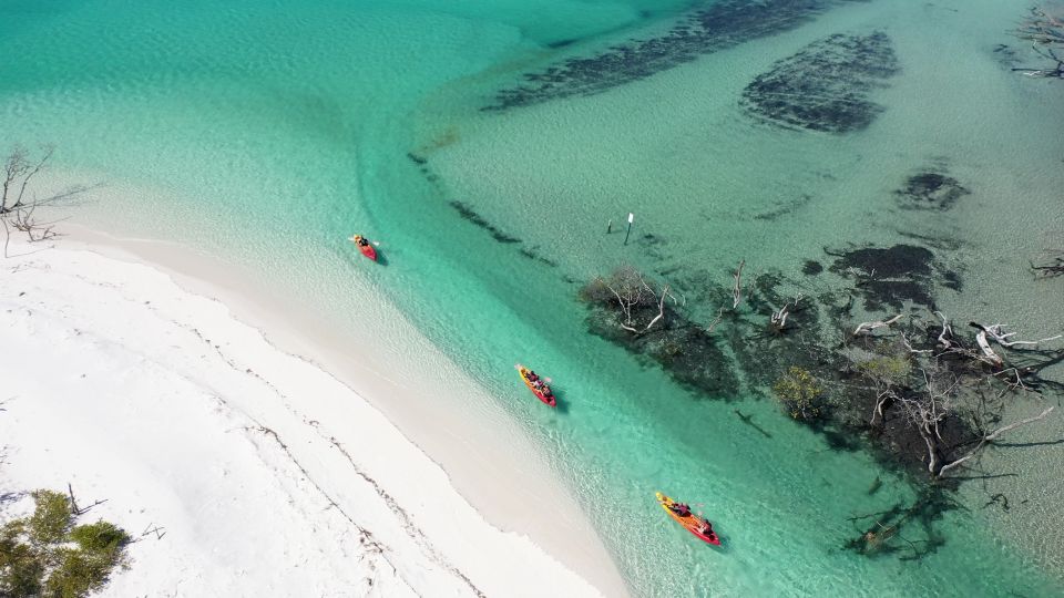 Fraser Island (Kgari): Remote Island and Whale Experience - Important Information