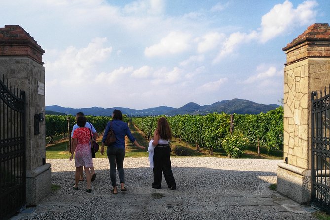 From Abano Montegrotto, Wine Tour in the Euganean Hills - Common questions