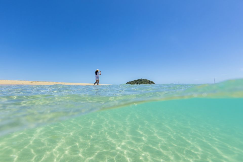 From Airlie Beach: Langford Island Sailing Trip W/ Snorkel - Customer Reviews and Testimonials