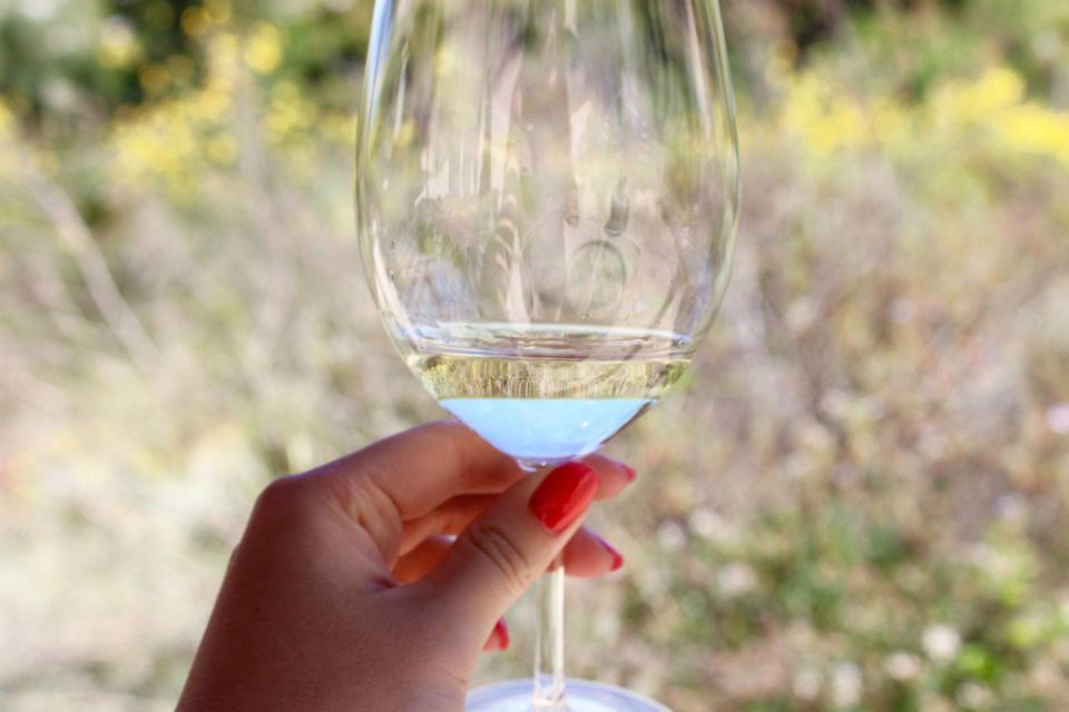 From Argostoli: Private Wine Tasting & Vineyard Tour - Wine Tasting Experience