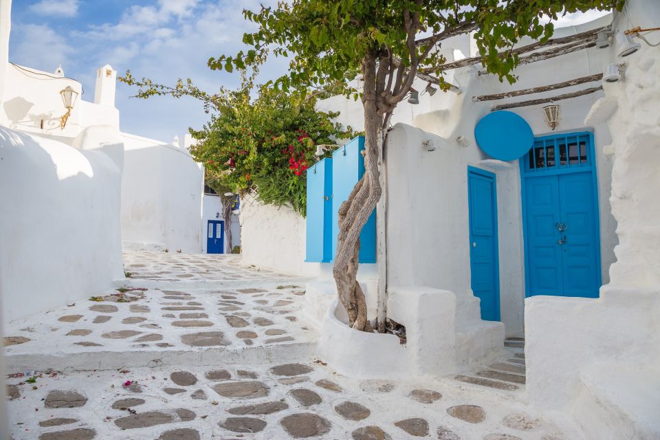 From Athens: Mykonos Day Trip With Ferry Tickets - Booking Instructions