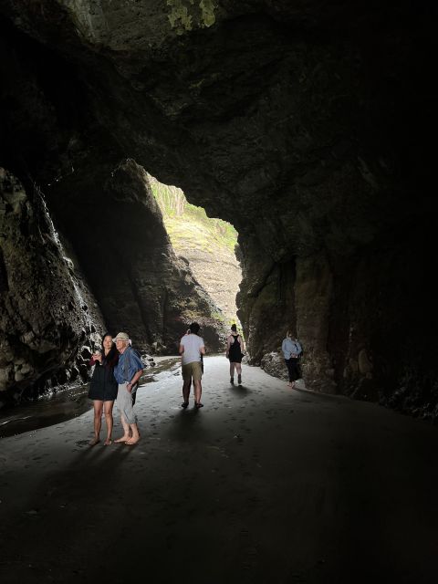 From Auckland: Guided Tour of Piha With Scenic Beach Walks - Last Words