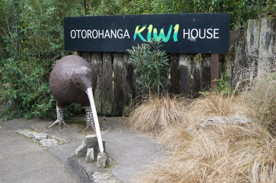 From Auckland: Waitomo Caves and Kiwi House Small Group Tour - Last Words