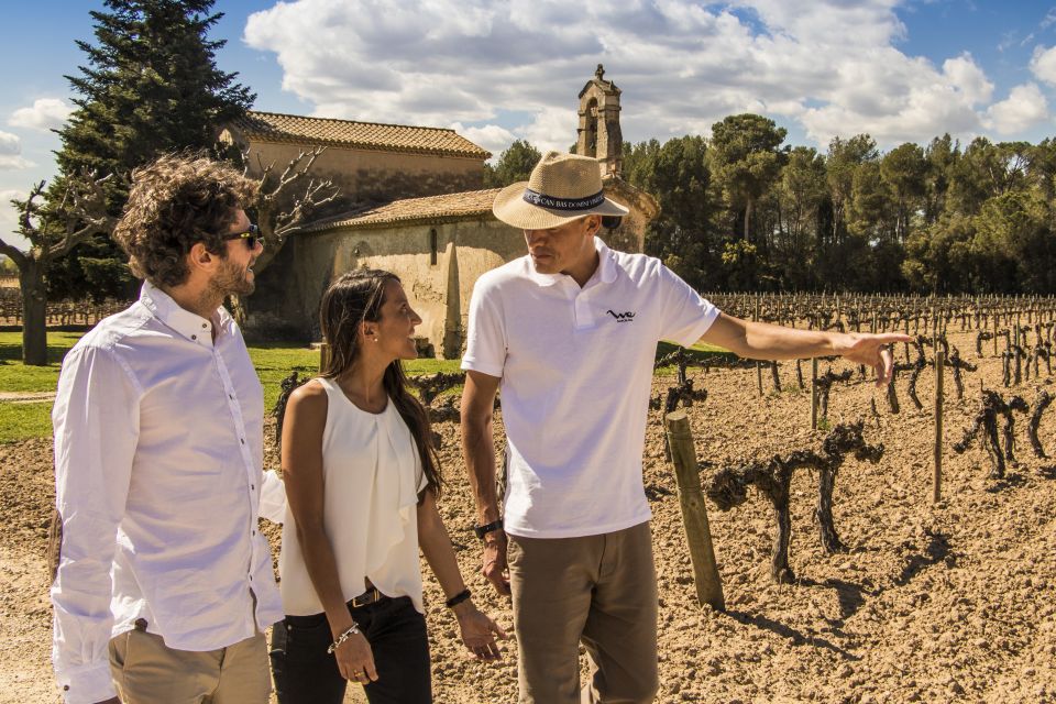 From Barcelona: Penedés Vineyards Tour by 4WD W/Wine & Cava - Last Words