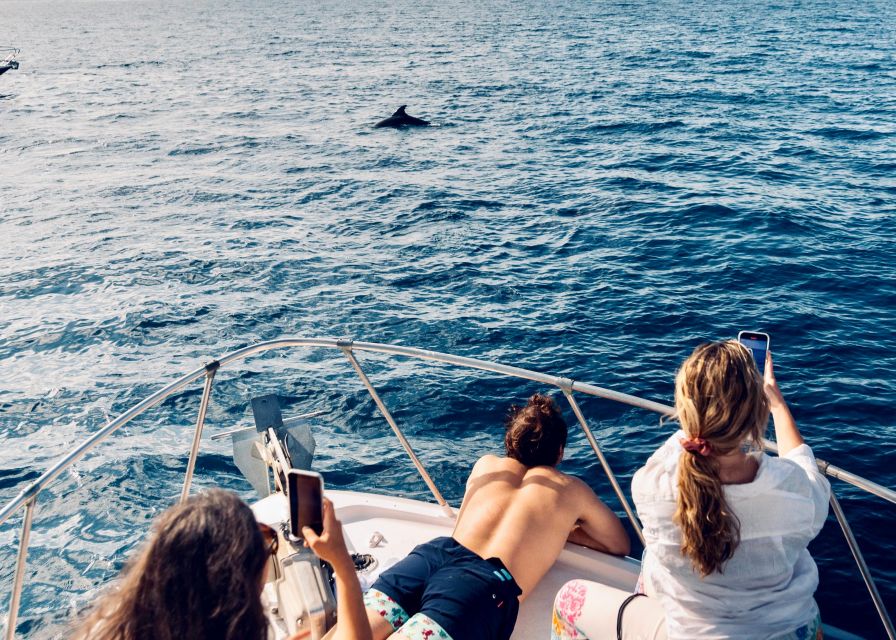 From Benalmádena & Torremolinos: Dolphin Watch Boat Trip - Meeting Point Directions