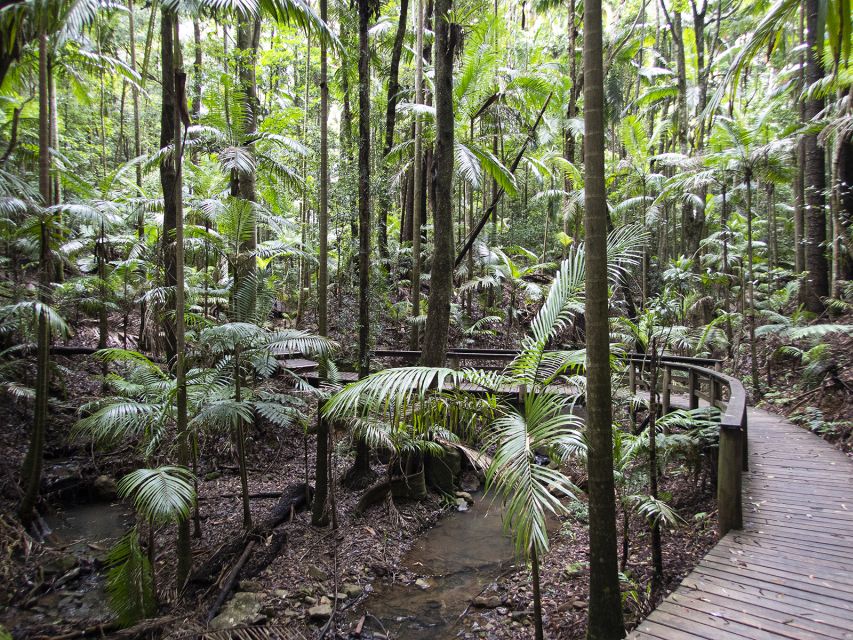 From Brisbane: Maiala Rainforest Private Tour - Directions